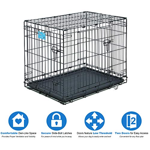 MidWest Homes for Pets Life Stages Double-Door Folding Metal Dog ...