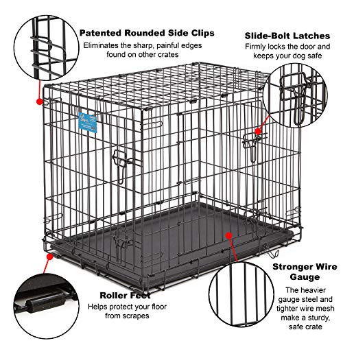 MidWest Homes for Pets Life Stages Double-Door Folding Metal Dog ...
