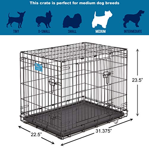 MidWest Homes for Pets Life Stages Double-Door Folding Metal Dog ...