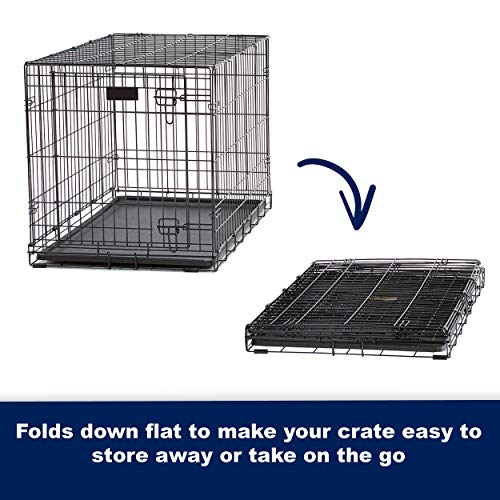 MidWest Homes for Pets Life Stages Double-Door Folding Metal Dog ...