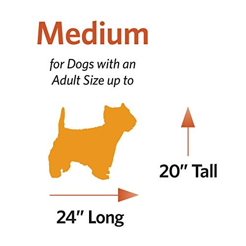 MidWest Homes for Pets Life Stages Double-Door Folding Metal Dog ...