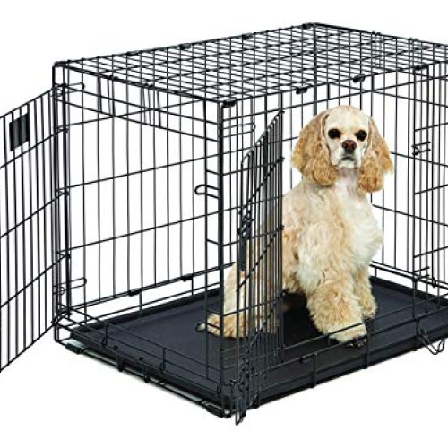 MidWest Homes for Pets Life Stages Double-Door Folding Metal Dog ...