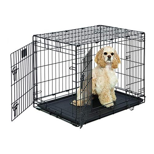 MidWest Homes for Pets Life Stages Double-Door Folding Metal Dog ...