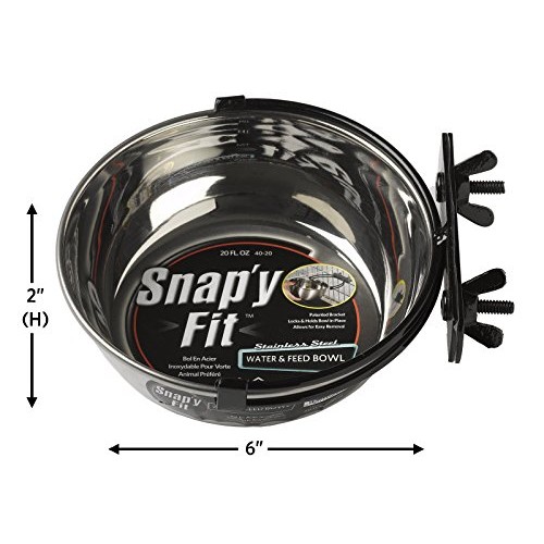 MidWest Homes for Pets Snapy Fit Food Bowl / Pet Bowl, 20 oz. fo...