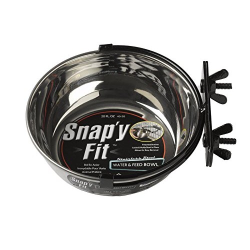 MidWest Homes for Pets Snapy Fit Food Bowl / Pet Bowl, 20 oz. fo...