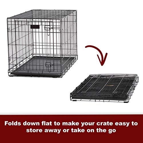 MidWest I Crate 1524 -24 Inch Folding Metal Dog Crate w/ Divider ...
