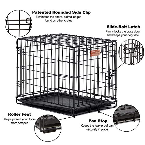 MidWest I Crate 1524 -24 Inch Folding Metal Dog Crate w/ Divider ...
