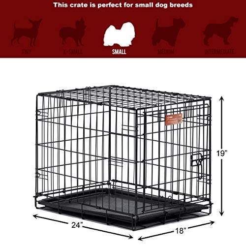 MidWest I Crate 1524 -24 Inch Folding Metal Dog Crate w/ Divider ...