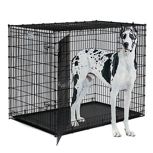 Midwest SL54DD Ginormus Double Door Dog Crate for XXL for the Lar...