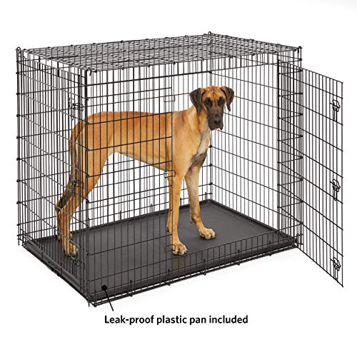 Midwest SL54DD Ginormus Double Door Dog Crate for XXL for the Lar...