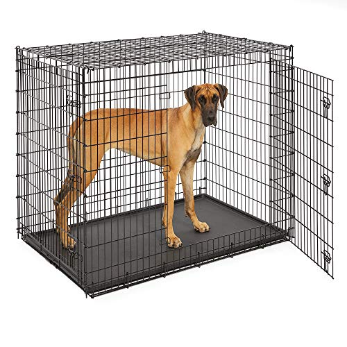 Midwest SL54DD Ginormus Double Door Dog Crate for XXL for the Lar...