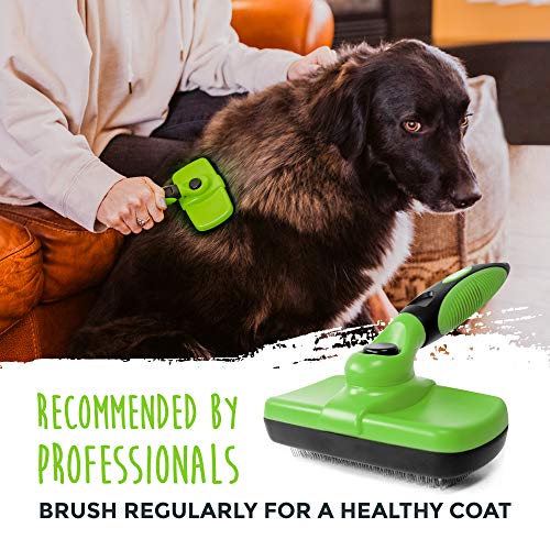 Mighty Paw Dog Grooming Brush | Durable Self-Cleaning Pet Brush. ...