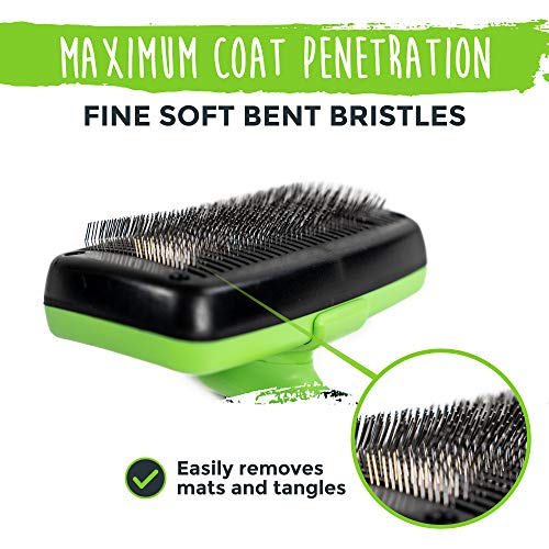 Mighty Paw Dog Grooming Brush | Durable Self-Cleaning Pet Brush. ...