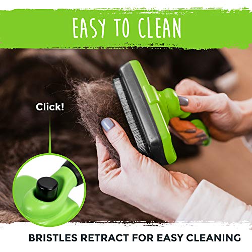 Mighty Paw Dog Grooming Brush | Durable Self-Cleaning Pet Brush. ...