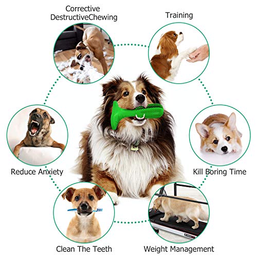 Milecan Upgraded Dog Toothbrush, Chew Toys for Medium Dogs - Dog ...