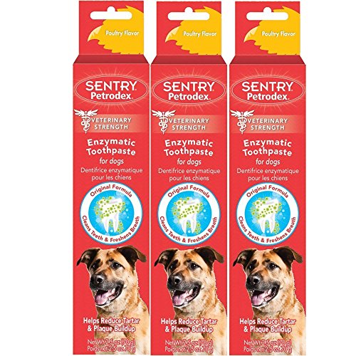 Petrodex Enzymatic Toothpaste for Dogs - Poultry Flavor, 2.5-Ounc...