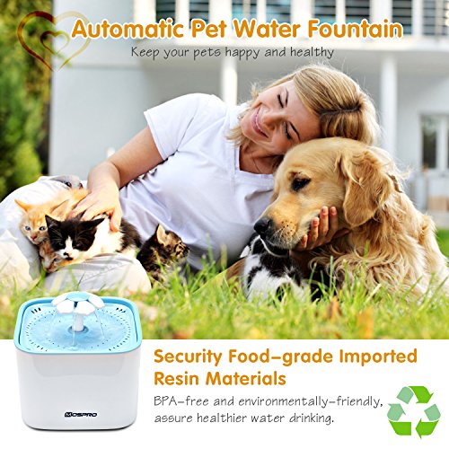 Pet Fountain Cat Water Dispenser - Healthy and Hygienic Drinking ...