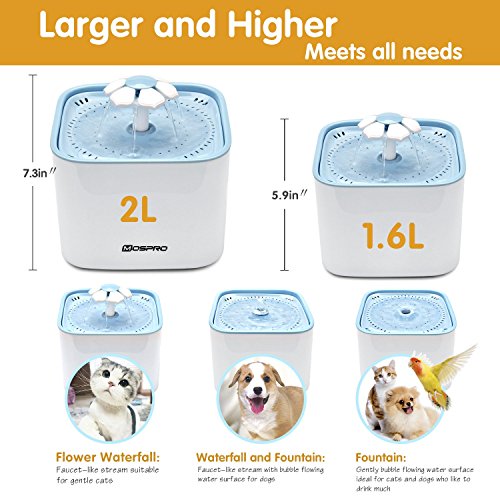 Pet Fountain Cat Water Dispenser - Healthy and Hygienic Drinking ...