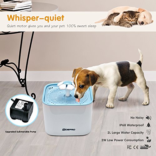 Pet Fountain Cat Water Dispenser - Healthy and Hygienic Drinking ...