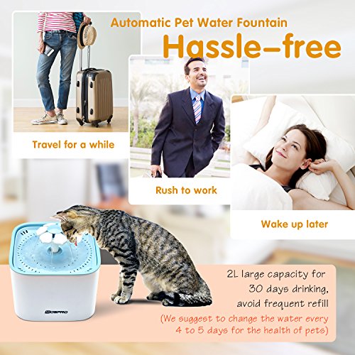 Pet Fountain Cat Water Dispenser - Healthy and Hygienic Drinking ...