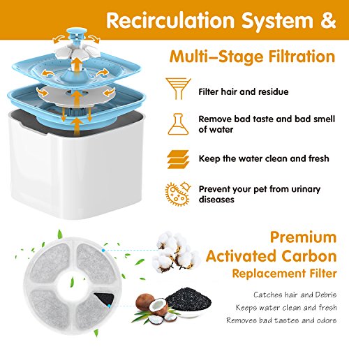 Pet Fountain Cat Water Dispenser - Healthy and Hygienic Drinking ...
