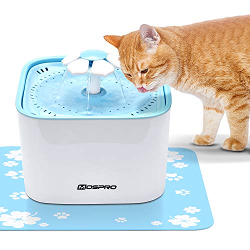 Pet Fountain Cat Water Dispenser - Healthy and Hygienic Drinking ...