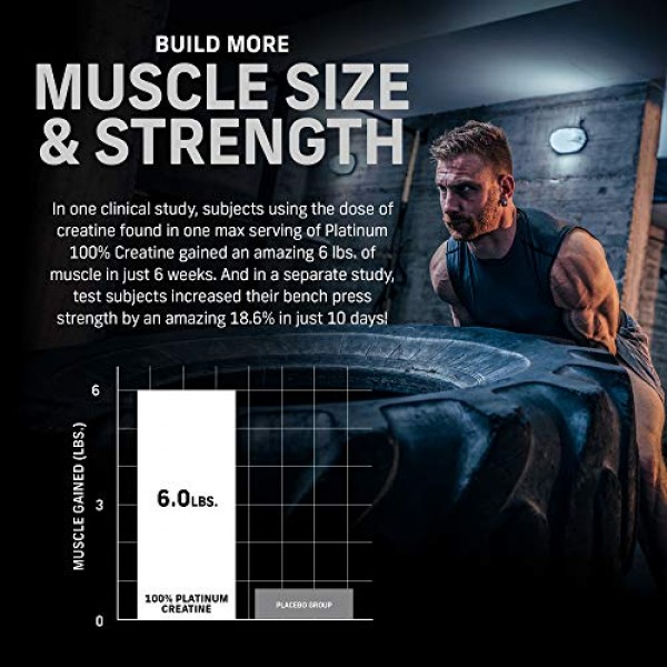 Creatine Monohydrate Powder | MuscleTech Platinum | Pure Microniz...