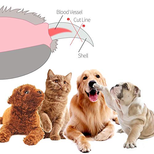 N\C Dog Nail Clippers Cat Nail Clippers and Trimmers with Safety ...