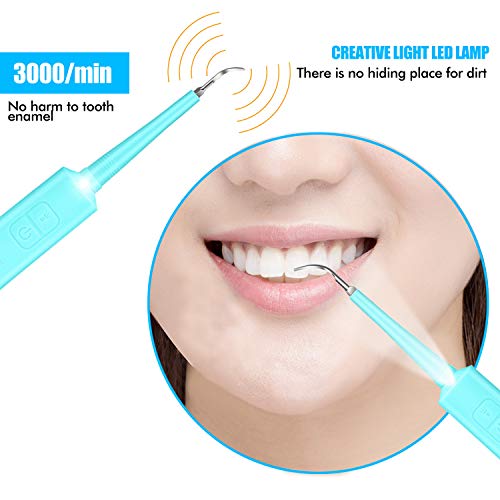 Electric Sonic Dental Calculus Plaque Remover Tool - Dental Scale...
