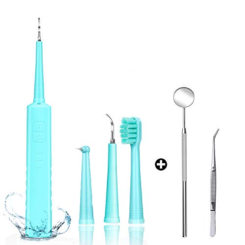 Electric Sonic Dental Calculus Plaque Remover Tool - Dental Scale...