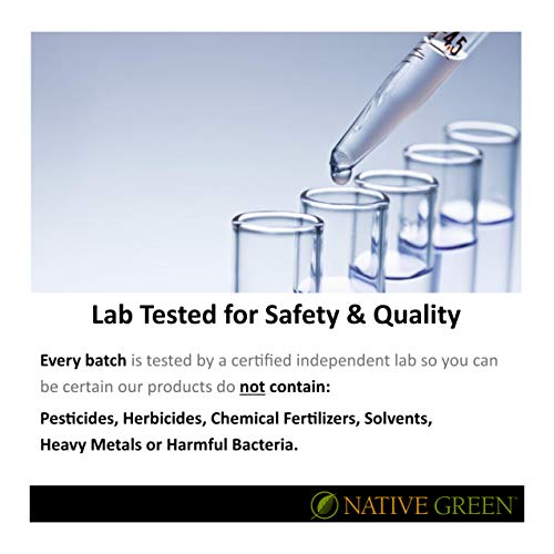 Native Green Vanilla 1000mg Hemp Extract Oil for Muscle and Joi...