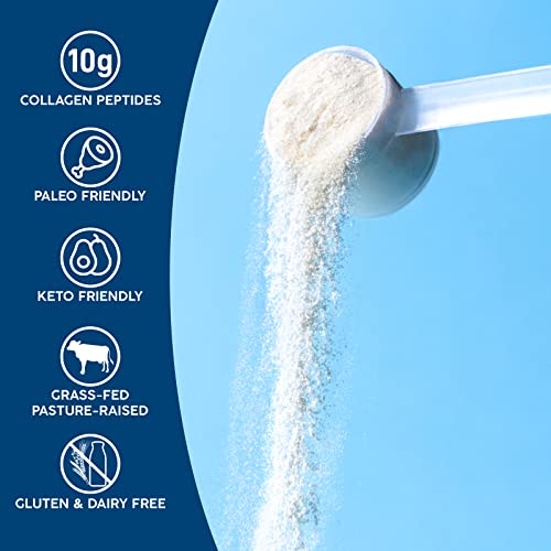 NativePath Collagen Peptides Protein - Hydrolyzed Type 1 & 3 Coll...