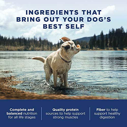 Natural Balance Ultra Premium Wet Dog Food, Beef Formula with Pot...