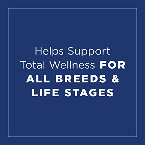 Natural Balance Ultra Premium Wet Dog Food, Beef Formula with Pot...