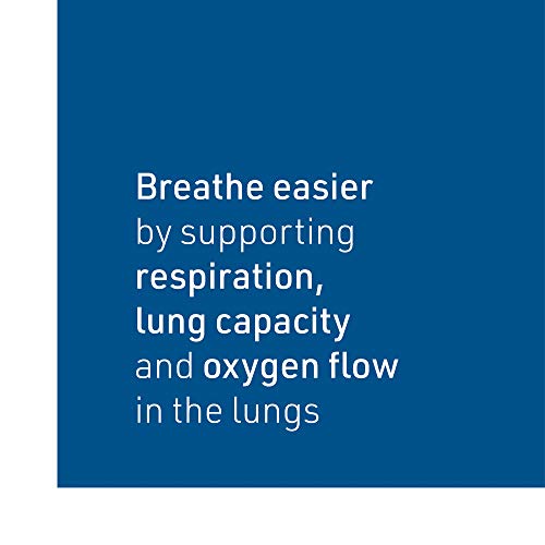 Natural Factors - Lung, Bronchial, & Sinus Health, Promotes Lung ...