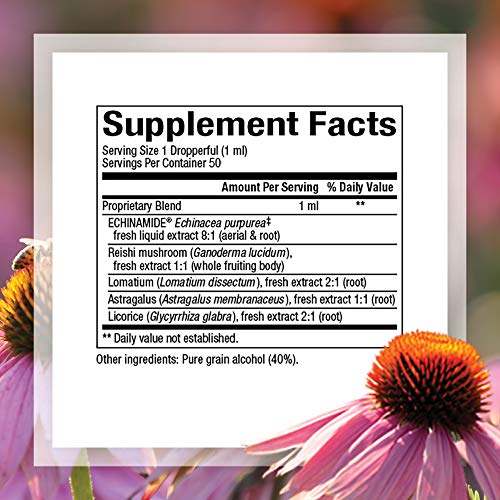 Natural Factors, Anti-V Liquid Formula, Echinacea Supplement for ...