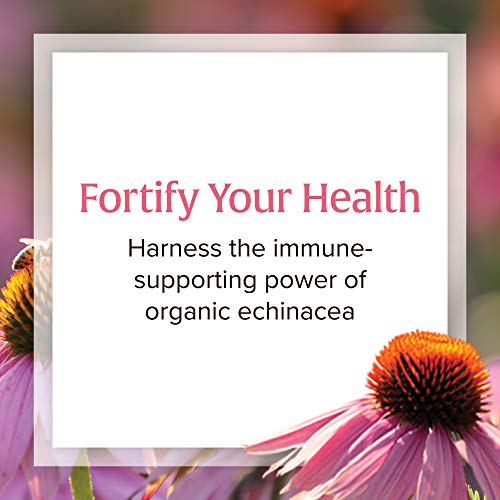 Natural Factors, Anti-V Liquid Formula, Echinacea Supplement for ...