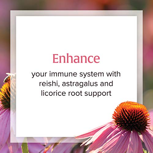Natural Factors, Anti-V Liquid Formula, Echinacea Supplement for ...