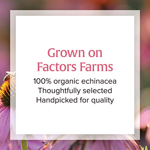 Natural Factors, Anti-V Liquid Formula, Echinacea Supplement for ...