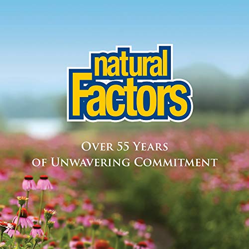 Natural Factors, Anti-V Liquid Formula, Echinacea Supplement for ...