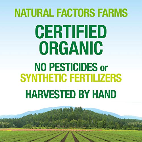 Whole Earth & Sea from Natural Factors, Super Mushroom, Whole Foo...