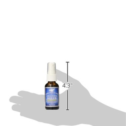 Natural Path Silver Wings Colloidal Silver Herbal Tincture Spray,...