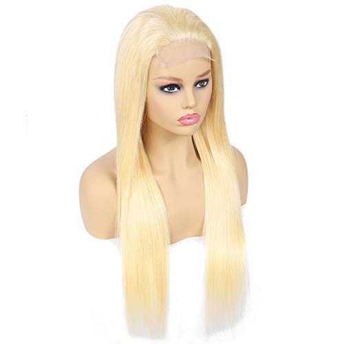 Hair 613 Lace Front Wig 150% Density Straight Human Hair Wigs Blo...