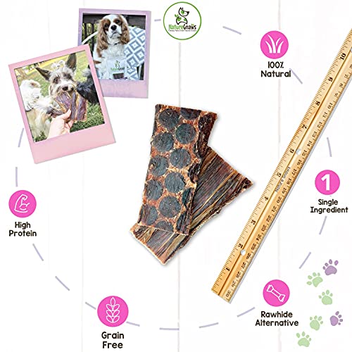Nature Gnaws Beef Jerky Bites for Small Dogs - Premium Natural Tr...