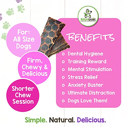 Nature Gnaws Beef Jerky Bites for Small Dogs - Premium Natural Tr...