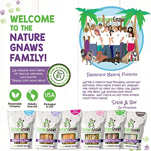 Nature Gnaws Beef Jerky Bites for Small Dogs - Premium Natural Tr...