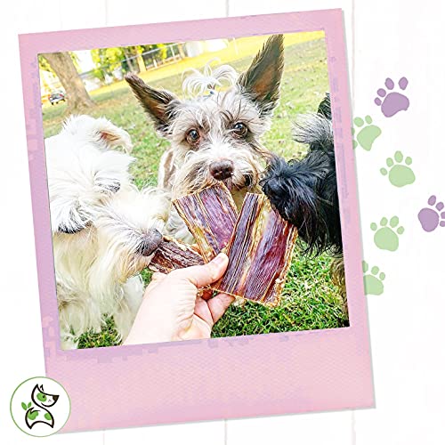 Nature Gnaws Beef Jerky Bites for Small Dogs - Premium Natural Tr...