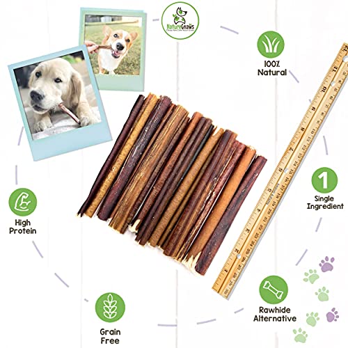 Nature Gnaws Small Bully Sticks for Dogs - Premium Natural Beef B...