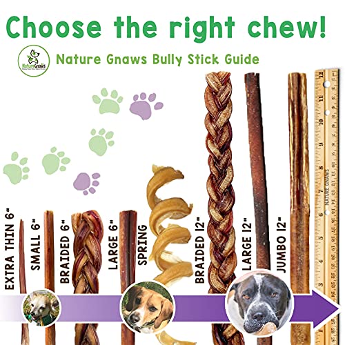Nature Gnaws Small Bully Sticks for Dogs - Premium Natural Beef B...