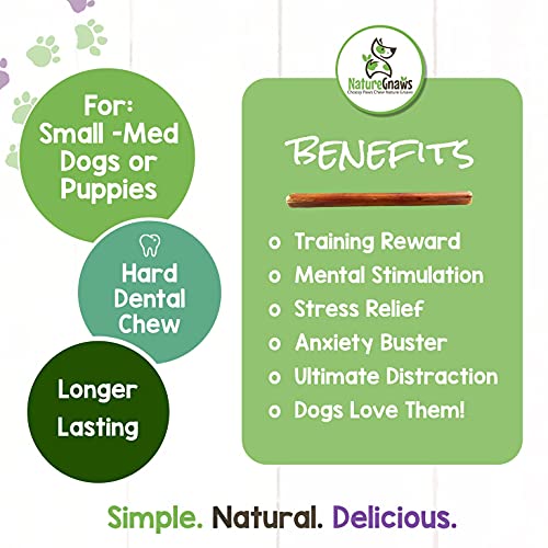 Nature Gnaws Small Bully Sticks for Dogs - Premium Natural Beef B...